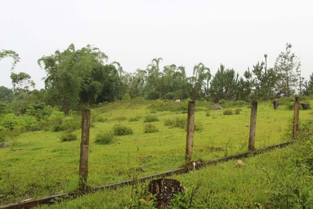 Lot For Sale in Dahilayan, Manolo Fortich Bukidnon