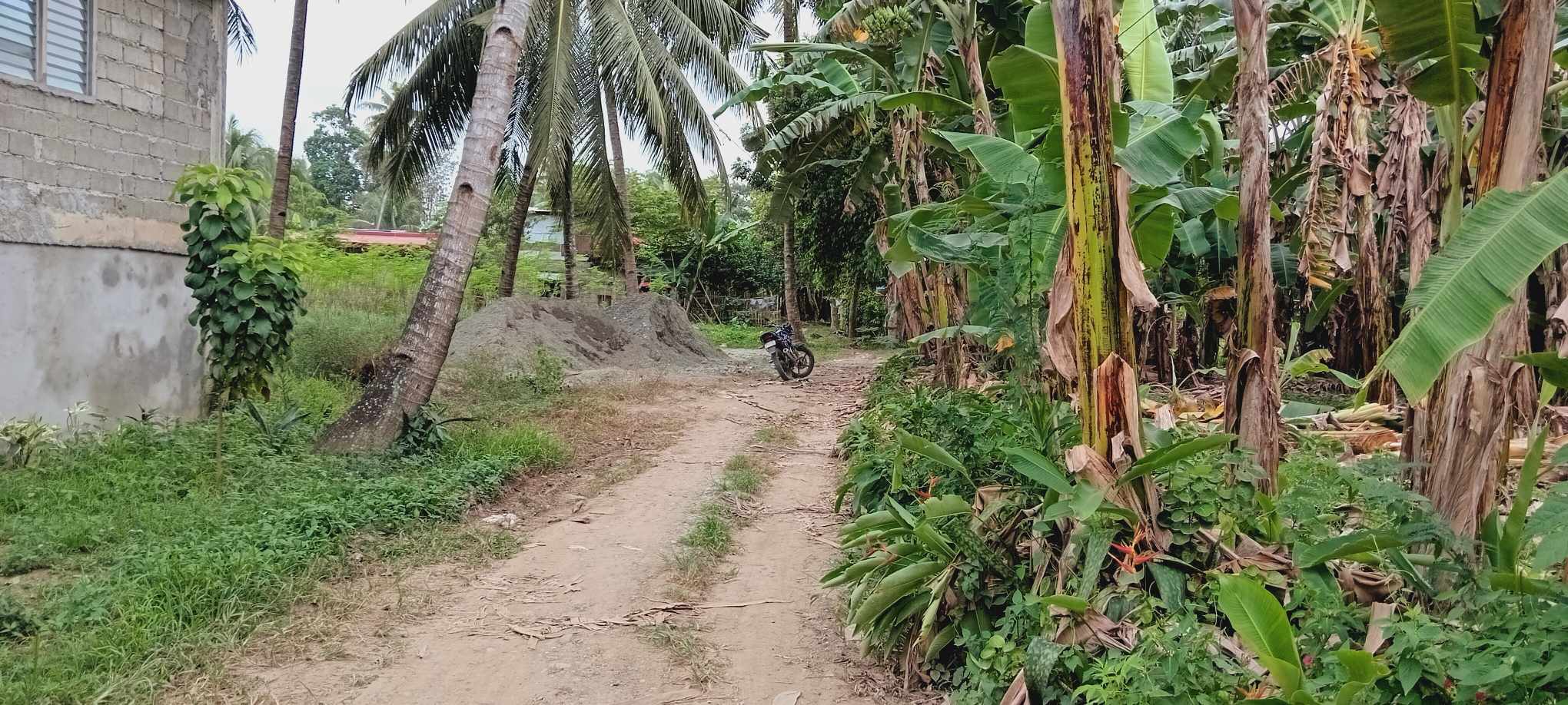 405042523_2078903942489668_8274495065401814447_n (1)