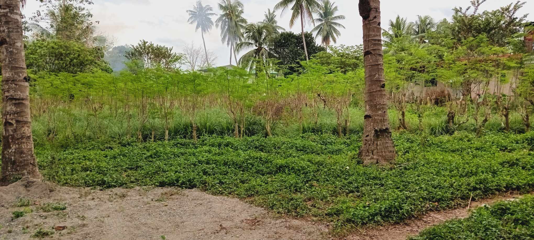 405093223_233582389829255_6824476088253454679_n