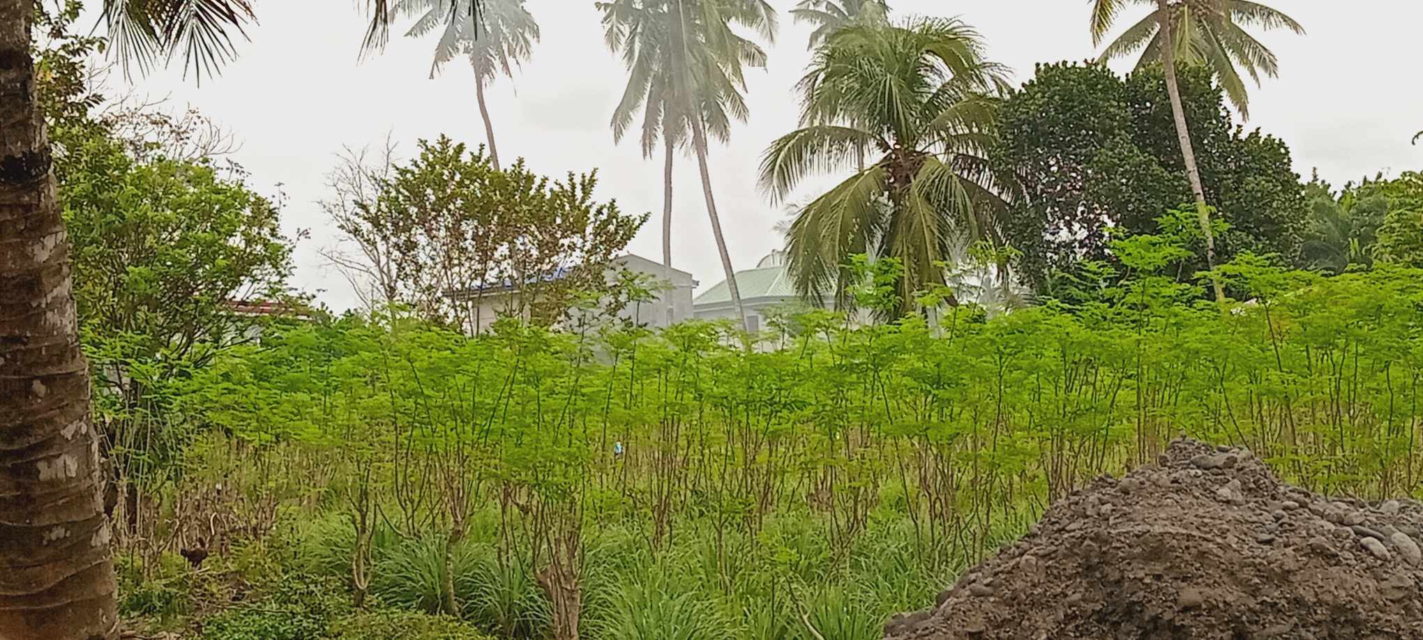 405331319_2127462930986745_6897032780970550221_n